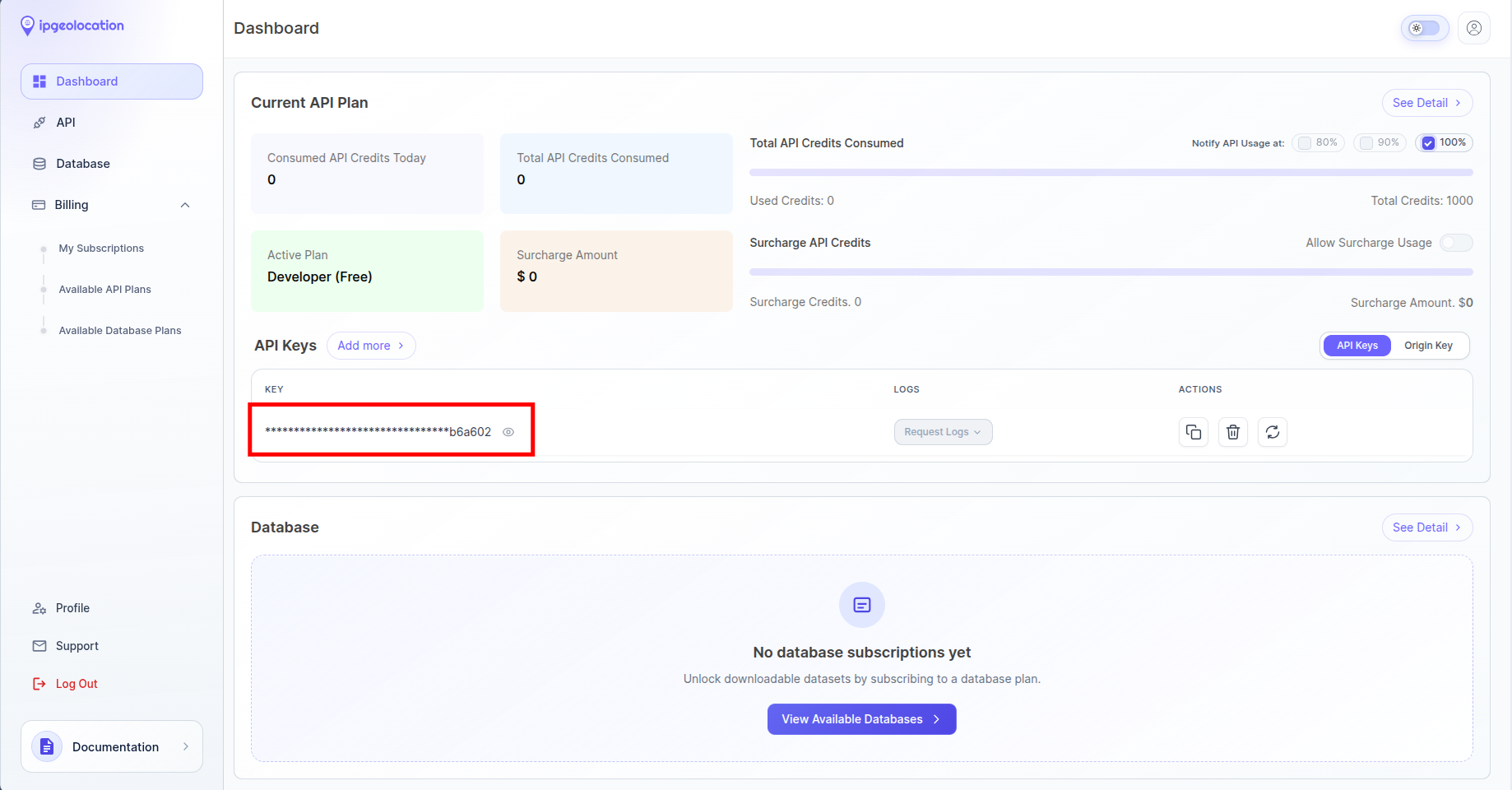 IPGeolocation.io dashboard showing the API key location and copy button